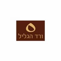 vered hagalil