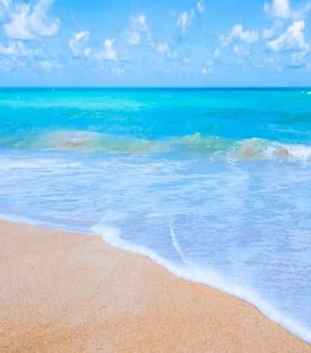 Explore Andaman - 8 Night / 9 Days Price per person in a double room group 6+