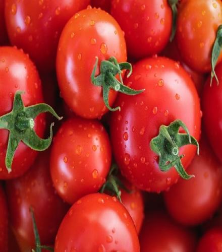Fresh Tomatoes - 1 Kg