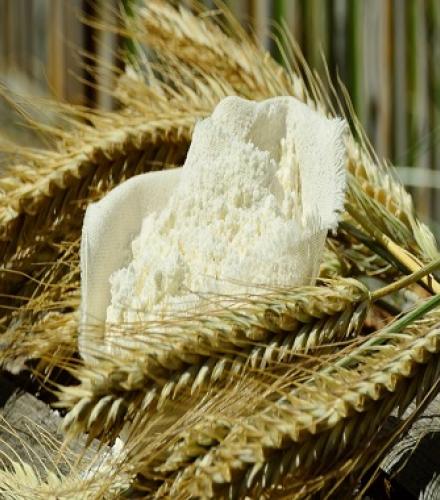 Whole Wheat Flour