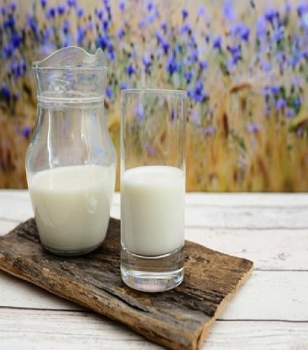 Milk