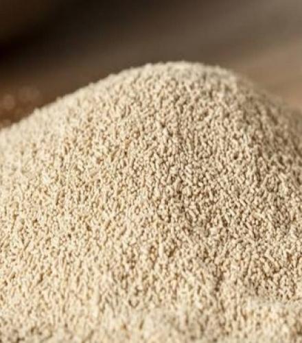 Yeast