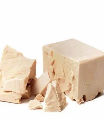 Refrigerated Yeast
