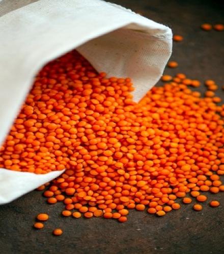 Lentils