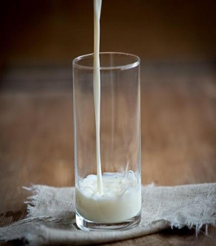 Low Fat Milk