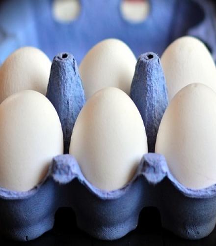 Eggs