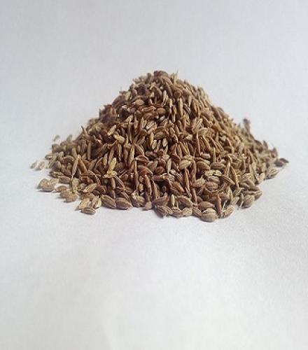 Whole Cumin - 1 Kg