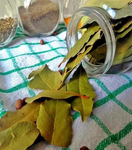 Bay Leaf - 1 Kg