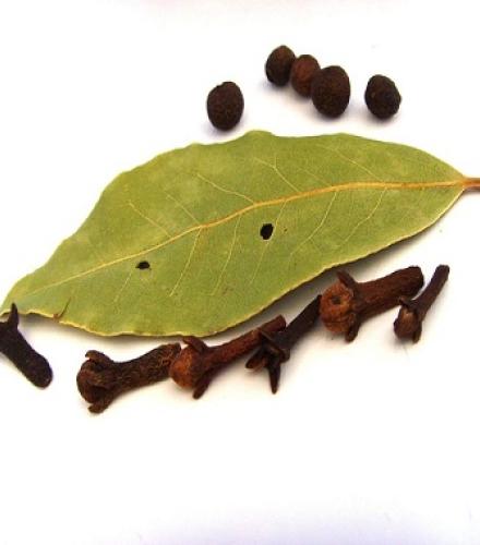 Bay Leaf - 1 Kg