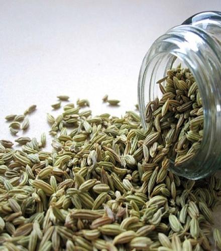 Fennel Seeds - 1 Kg